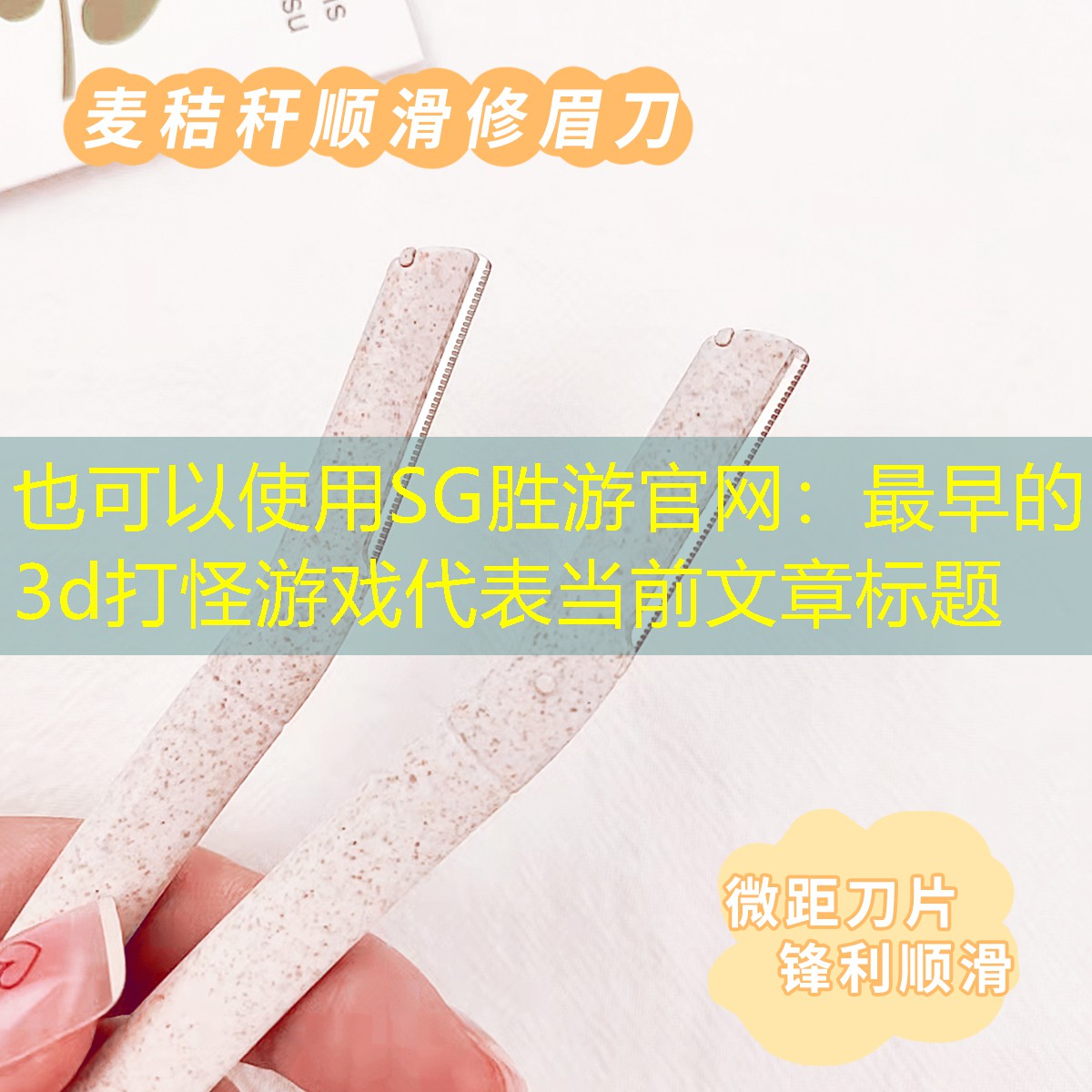 SG胜游官网：最早的3d打怪游戏
