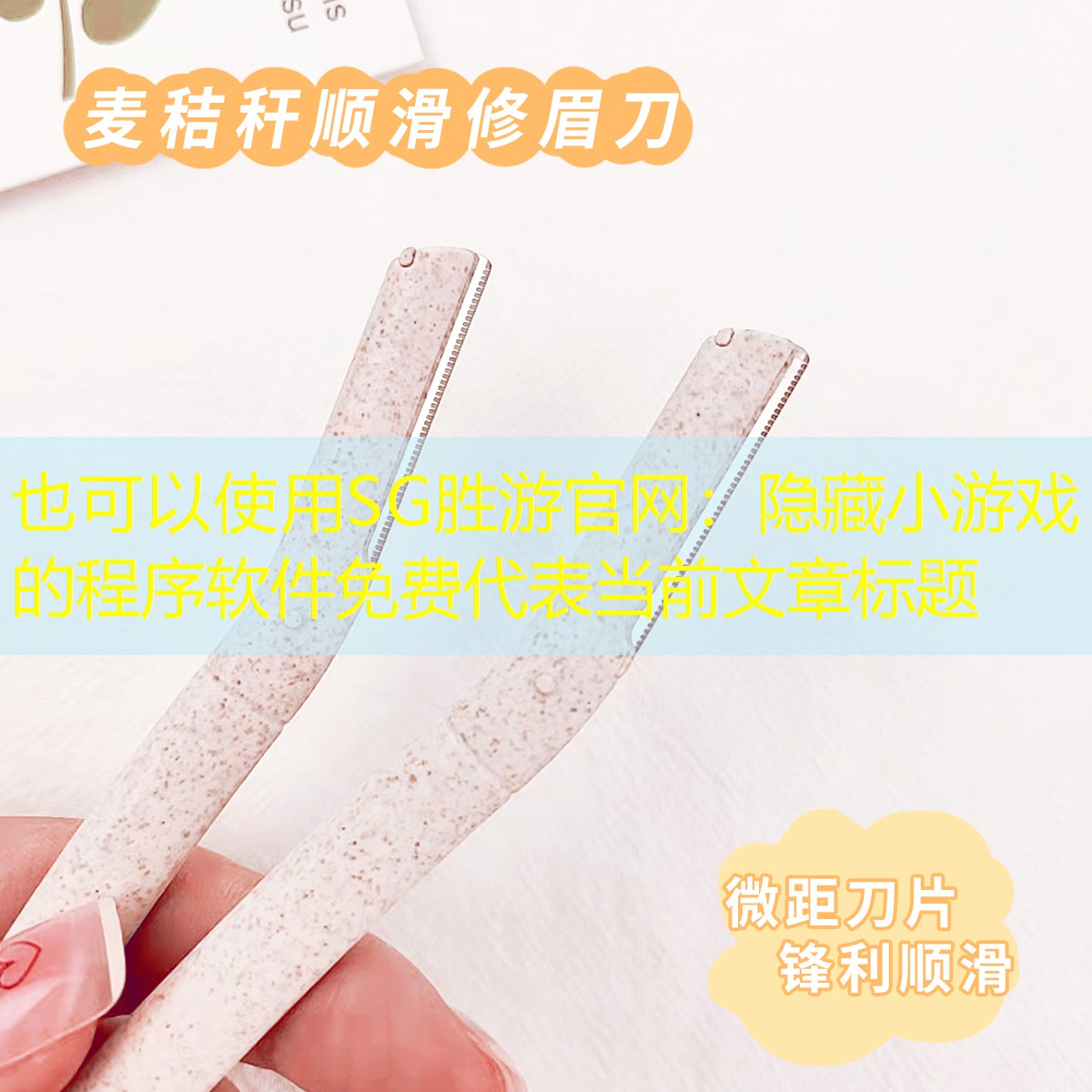 SG胜游官网：隐藏小游戏的程序软件免费